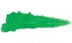 GREEN PAPAYA (SL17)